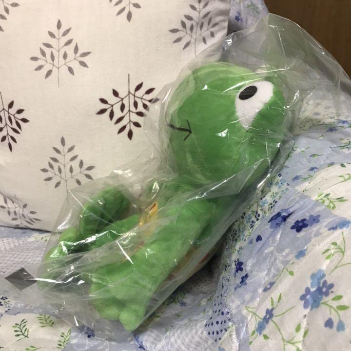 Amazon.co.jp: フロッシュフロッケ カエル ぬいぐるみ 特大