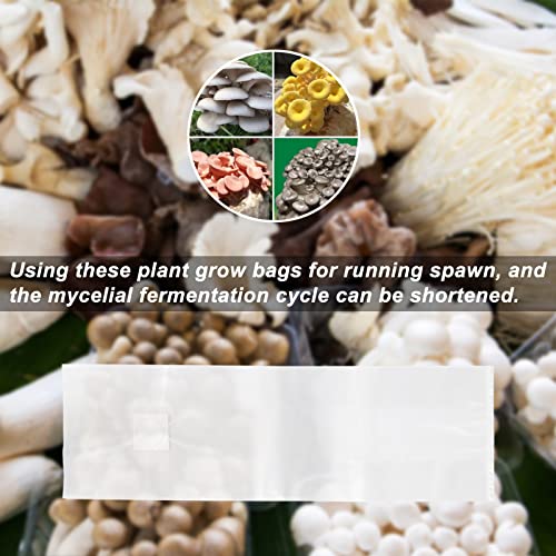 ZYLLZY 20Pcs Transparent Mushroom Grow Bags,Large Size Breathable Mushroom Substrate Bag,Autoclavable Spawn Grow Bags Media for Garden Plant Mushroom Growing - Image 4
