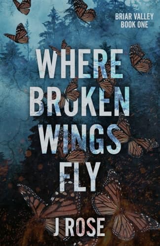 Where Broken Wings Fly view 2