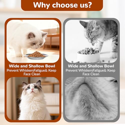 Alitree 6er-Pack Katzennapf,Katzennäpfe aus Edelstahl 304,Wassernapf,Futternapf,Katzennapf-Set, für Katzen, kleine Hunde flach, sturzsicher und leicht zu reinigen