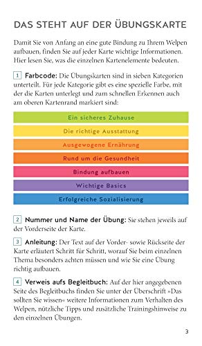 Welpen-Starter-Box: Plus Belohnungsbeutel für sofortigen Spiel- und Trainingsspaß (GU Welpen)