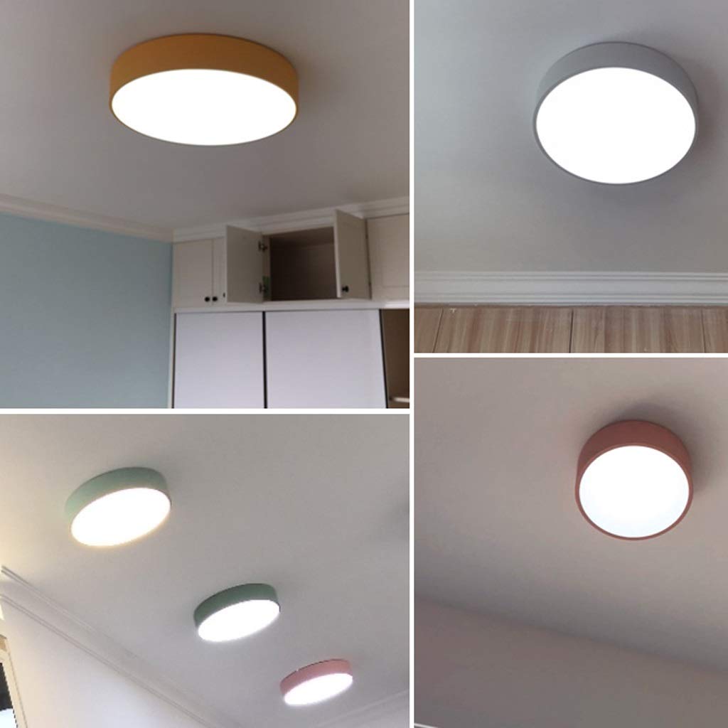 JJJ Lighting Lámpara de Techo 12W, 18W, 24W, 36W Hierro Arte Iluminación Acrílico Sala de Estar Dormitorio Lámpara de Techo LED Luz Blanca 23 cm, 30 cm, 40 cm, 50 cm (Color : White Light)
