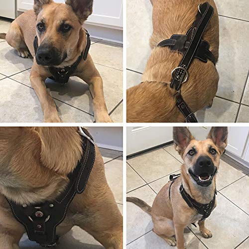 Leather Dog Harness Handmade Genuine Leather Durable Strong Pet Harness with Adjustable Straps No Pull Easy Control Pet Vest 28″ – 32″ Chest for Medium Large Dogs Dark-Brown Leather Dog Harness Handmade Genuine Leather Durable Strong Pet Harness with Adjustable Straps No Pull Easy Control Pet Vest 28″ – 32″ Chest for Medium Large Dogs Dark-Brown
