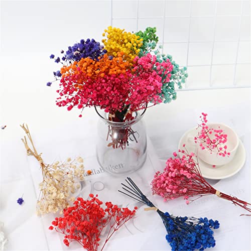 Mini ramo de flores secas Gypsophila 12cm natural miniatura 6