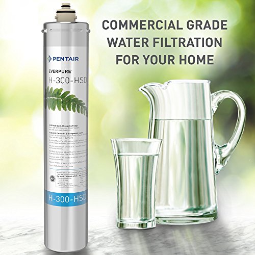 Pentair filtration system commercial