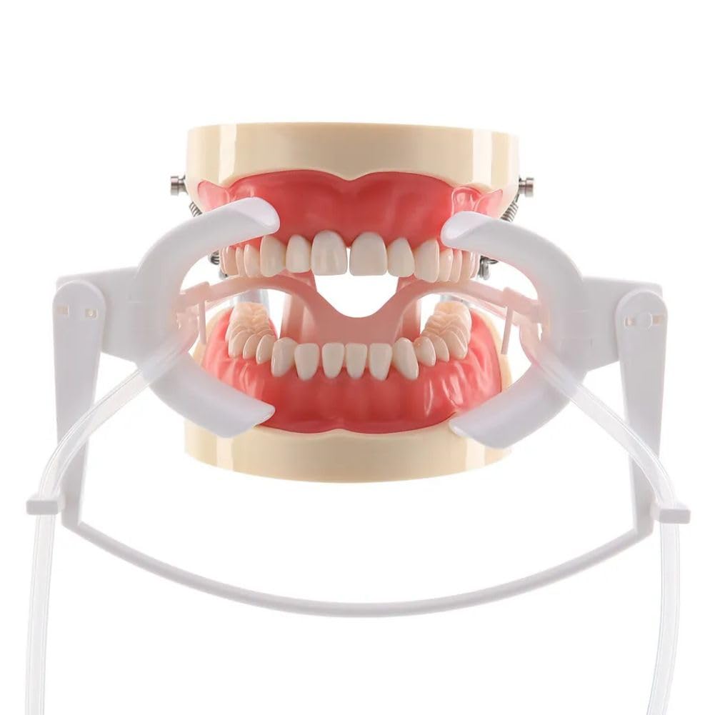 Sistema de campo seco ortodóntico dental Nola Kit completo para retractor de mejillas autoclavable en autoclave 280F
