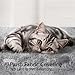 Topeakmart Cat Tree Tower for Indoor Cats, 34.5in Cat Activity Center with Condo & Scratching Post, Cat Climbing Tower Play House w/Large Perch, Platform, Basket for Kitten, Light Gray