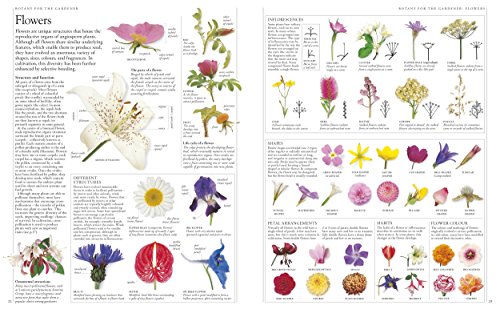 Image of RHS A-Z Encyclopedia of Garden Plants 4th edition