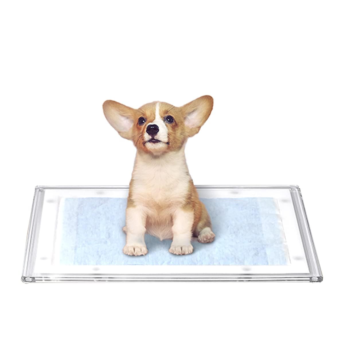 Amazon | ottostyle.jp アクリル トイレトレー 犬 滑り止め付 ずれない