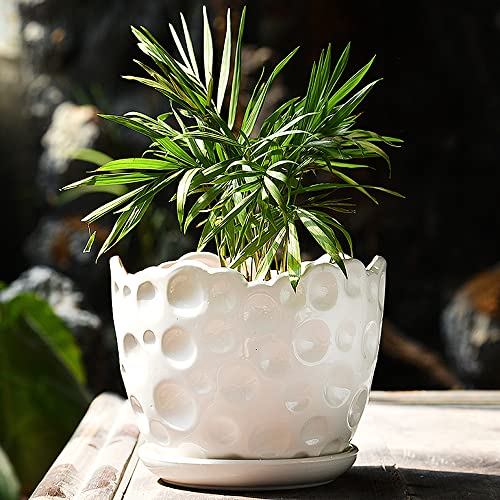 植木鉢、8.6インチの円筒形セラミック植木鉢、接続された受け皿付き、多肉植物や小さなサンセベリア用のセラミックプランター、D