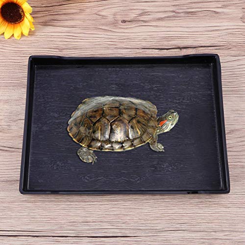 WANGPING Reptile Bowl - Grote Reptile Schildpad Voedsel- en Watervoerschotel Badkom - Huisdierbenodigdheden - Maat M… - Afbeelding 5