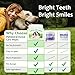 Petstoral Dental Care Wipes for Dogs and Cats, 50 Count, Teeth and Gum Cleaning, Plaque and Tartar Removal