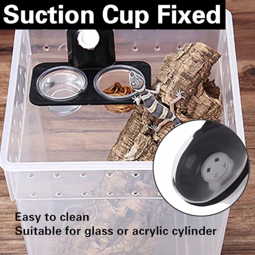 JVHLOV 2PCS Reptile Feeder, Reptilien Futternapf Saugnapf Plastik Wasser- und Futternapf, Anti-Flucht Eidechsen Futterschale, für Eidechse, Chamäleon, Skorpion, Gecko, Leguan