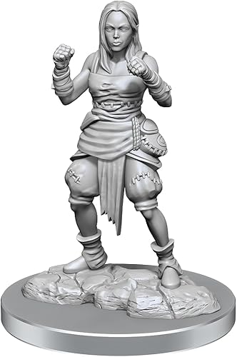 WizKids Pathfinder Deep Cuts: Half-Elf Monje Hembra Pathfinder Miniaturas