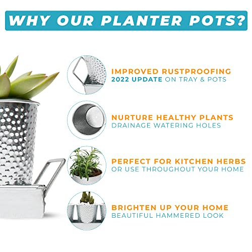 Saratoga Home Small Plant Pots With Drainage Holes Use As Herb Garden Planters, Shallow Planter, Succulent Or Flower Pots, Outdoor Indoor Planter Pots With Drainage & Tray, 3 Set Of 4 Inch Pots #TOP1