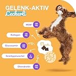 Gelenktabletten Hund I 180 Gelenk Aktiv Snacks als leckere Alternative zu klassischen Tabletten mit Grünlippmuschel, MSM, Glucosamin & Chondroitin I Arthrose I Unterstützt die Gelenke & Knochen – Bild 3