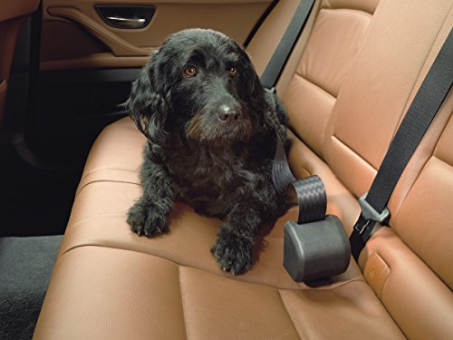 Kleinmetall 15340100 Click´n Roll Automatik-Hundegurt, UNI