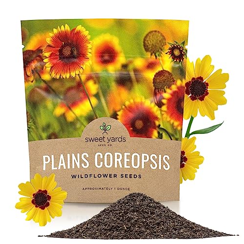 Plains Coreopsis Seeds Native Flowers Extra Large Packet Over 100 000 Open Pollinated Non-GMO Wildflower Seeds Coreopsis tinctorial