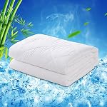 LAVANCE 100% Viscose de Bamboo Cooling Summer Comforter (Queen) 120gsm Léger Soft Down Remplissage Alternatif, Silky Respirant Moustiquaire, Taille Reine 90x90 de pouce