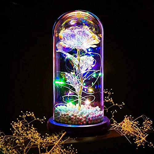 (Caja de regalo) La bella y la bestia rosa eterna bajo campana de cristal con luces LED rosa flor...