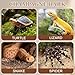 DOITOOL 4 Pcs Cork Bark for Reptiles, Cork Flats Reptile Bark for Terrarium Background, Climbing Mat Habitat Decoration for Spider Lizard Chamelons Turtle Beared Dragon