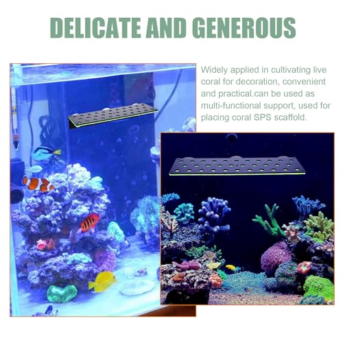 Support corail acrylique vert fluorescent ULTECHNOVO 32 trous - 8