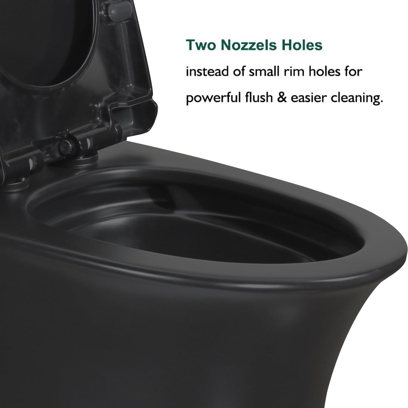 WinZo WZ5020BG Elongated One Piece Toilet Dual Flush 1.1/1.6 GPF Standard Height for Modern Bathroom,Matte Black with Glossy Gold Push Button