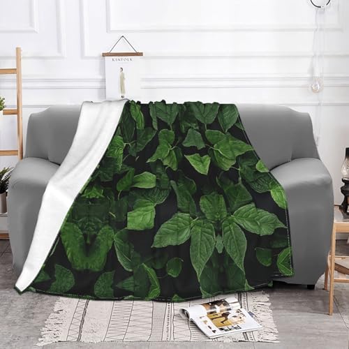 Couverture polaire Saint-Patrick, idée cadeau chaleureuse et douce pour la maison