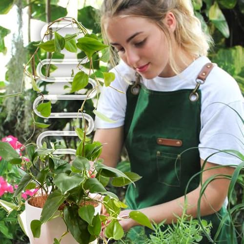 JETTIFY 2 Pack Curvy Acrylic Trellis for Indoor Plants, Small Plant Trellis for Potted Plants, 13 Inch Plant Stakes for Indoor Plants, Clear Trellis for Climbing Plants Vine Ivy Hoya by JETTIFY - Image 5
