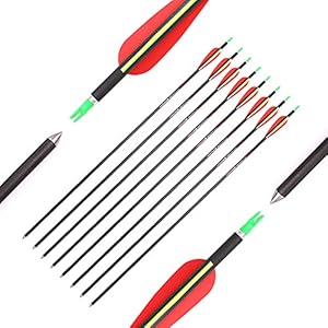 Diamètre Intérieur 8mm .315″ Longueur Personnalisée 22-32 Pouces Spine 300 Flèche Carbone Pour Entraînement Chasse avec Encoche Rotative Pour Arc à Poulies et Arc Classique Adulte Jeunesse 12pcs