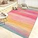 USTIDE Rainbow Rug 5x7/55