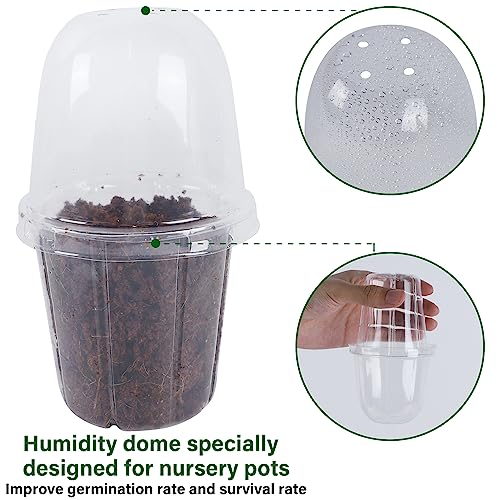 winemana 36 Set Nursery Pots with Humidity Dome, Clear Nursery Pots for Plants, Seed Starting Pots with Drainage Holes & Plant Labels for Vegetables Flowers Garden Plants - Image 3