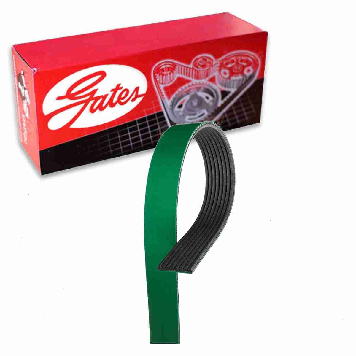 Gates FleetRunner Serpentine Belt – 98096WE For 2013–2018 Ram 2500 6.7L Cummins Diesel, Single Alternator