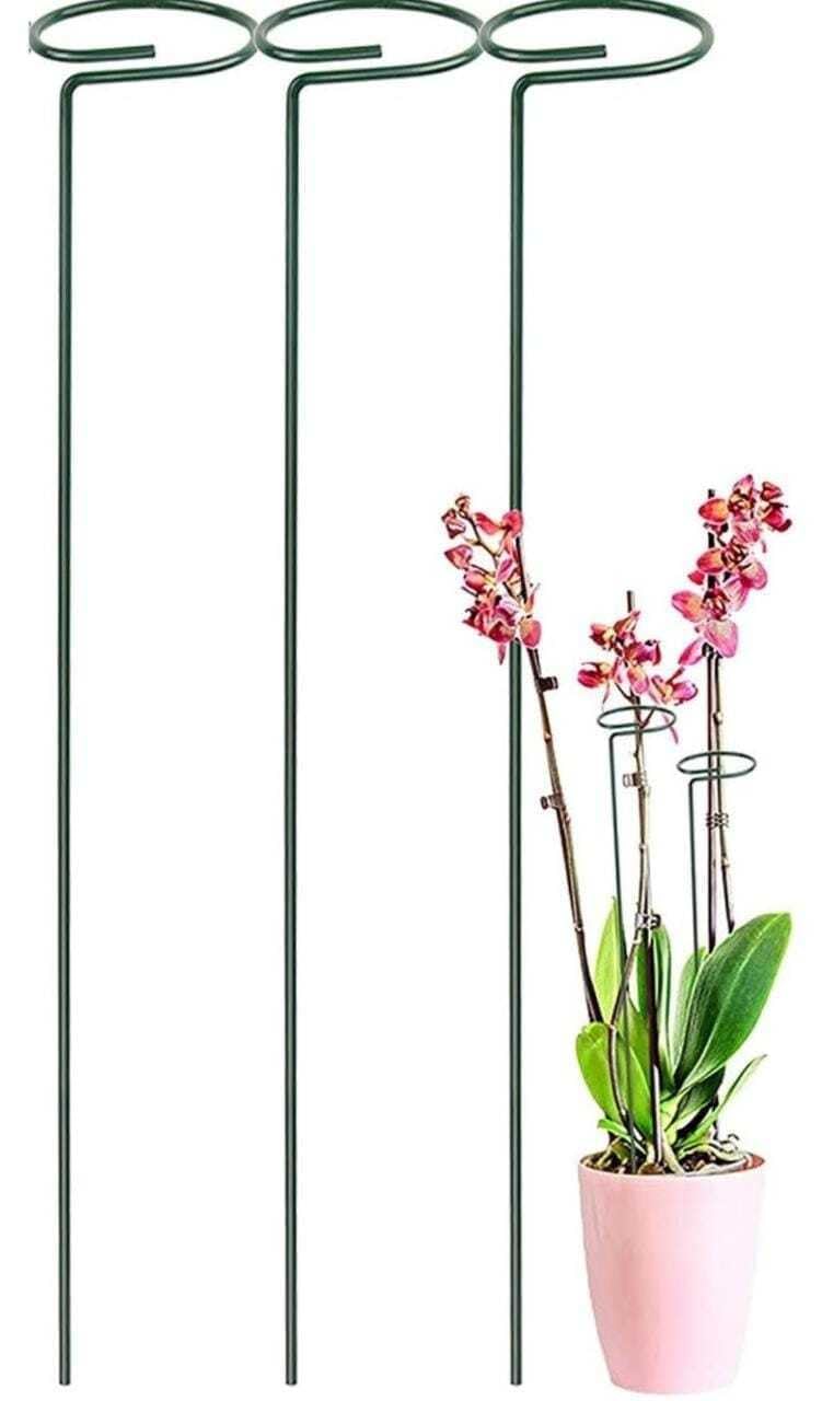 GREEN THUMB STORE 16 Inches Metal Plant Support Stakes Garden Single Stem Support Stake Plant Rings, Flower Stakes (Pack of 3) (B0CSG3HZYX) Amazon Price History, Amazon Price Tracker