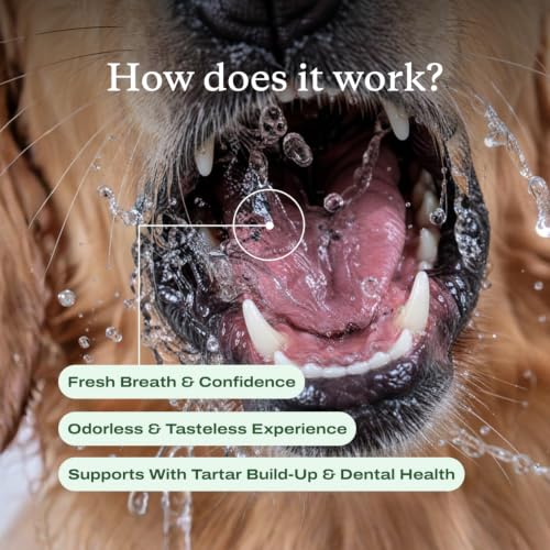 PetLab Co. Dental Formula for Dogs & Cats, Water Additive, 8 fl oz