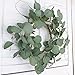 idyllic Eucalyptus Leaves Wreath Metal Polyester Green Wreath 14 Inches for The Front Door Décor, 1 Pack