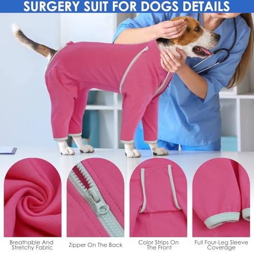 Image of Spay Recovery Female Dog - Rose, Large - Surgery Suit for Dogs Female After Spaying, Substitute E-Collar & Cone, Dog Surgery Suit for Shedding, Prevent Licking Surgical French Bulldog