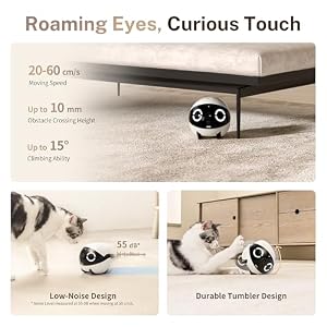 Enabot EBO ROLA Mini Pet Camera Robot: 2K FamilyBot Mobile Home Companion — photo 3 of 6