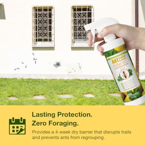 EcoVenger By EcoRaider Ant Killer & Crawling Insect Killer, 16 OZ Ready to Use, Indoor & Outdoor, Kills & Repels, Lasting Prevention, Natural & Non-Toxic Plant Based Formula, Pleasant Citrus Scent - 3