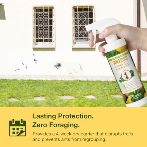 Image of EcoVenger By EcoRaider Ant Killer & Crawling Insect Killer, 16 OZ Ready to Use, Indoor & Outdoor, Kills & Repels, Lasting Prevention, Natural & Non-Toxic Plant Based Formula, Pleasant Citrus Scent