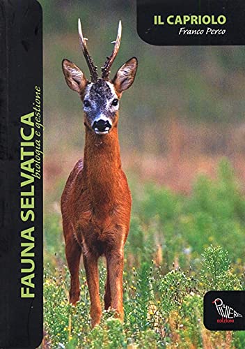 Il capriolo