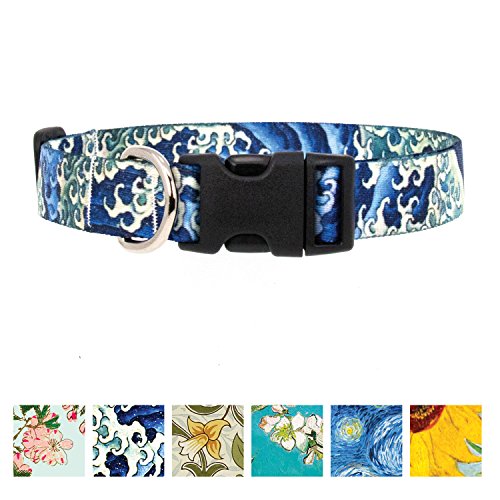 Top 10 Best Dog Collar For Swimming Reviews & Buying Guide Katynel