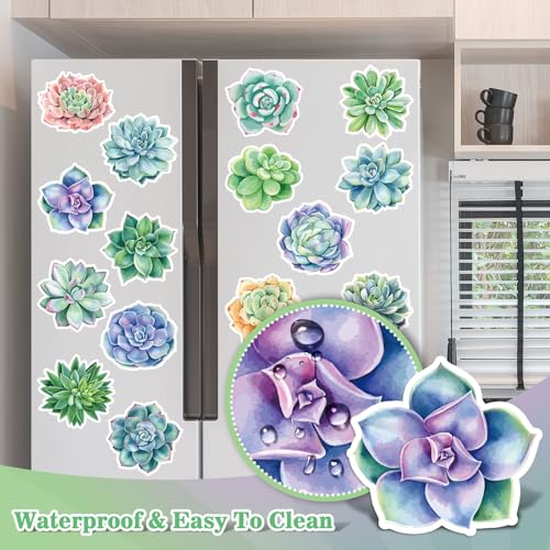 Imanes decorativos de plantas suculentas 16 pzas miniatura 4