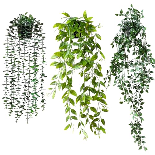 SALUDABLE ϗtA tFCNO[ CeA  Ǌ| ݂艺  3_Zbg