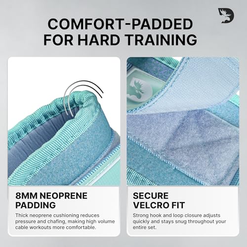 Image of DMoose Ankle Strap for Cable Machine - One Size Fit with Premium Padding, Workout Kickback Ankle Cuffs, Ankle Bands for Working Out, Booty Workouts, Leg Extension, Hip Abductors & Lower Body Exercises