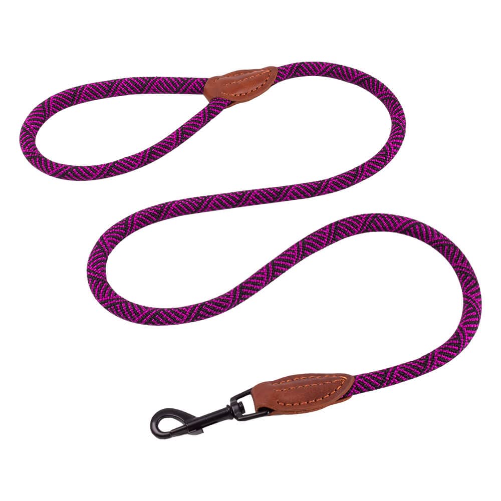 AllPetSolutions Rope Dog Lead - Heavy Duty Walking, Running, Outdoor Training Lead for Dogs - Anti-Tangle Leash with 360 Hook, Strong Clip, Easy Grip Loop Handle - Purple/Black, Braided Nylon, 120cm