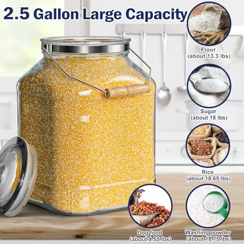 Daitouge 2.5 Gallon Glass Jar with Lids, 5.5