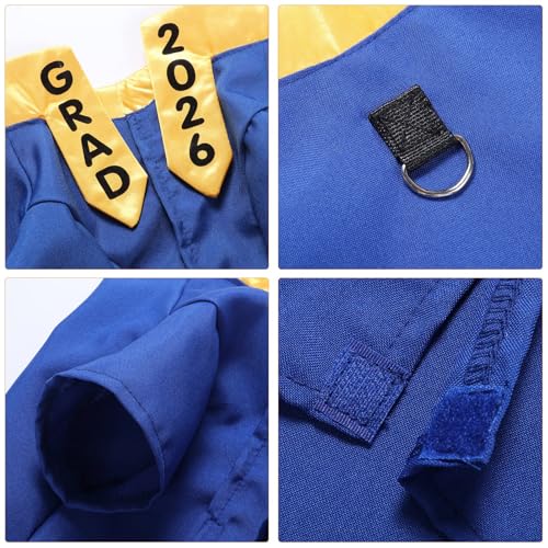 Disfraz de graduación para perro, tamaño mediano azul miniatura 3