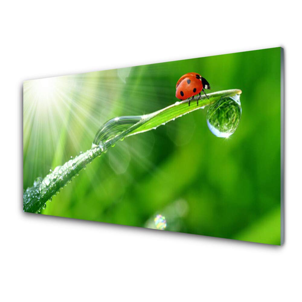 Tableau en verre trempé Tulup 100x50cm contre les murs vides