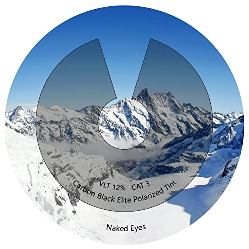 Image of Performance Replacement Lenses Compatible with Oakley Turbine Rotor OO9307 Polarized Etched
